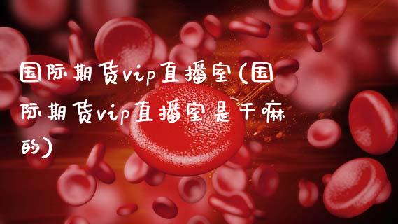 国际期货vip直播室(国际期货vip直播室是干嘛的)