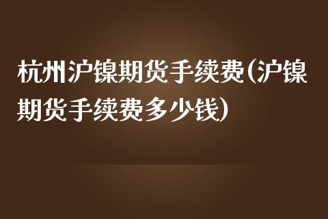 杭州沪镍期货手续费(沪镍期货手续费多少钱)