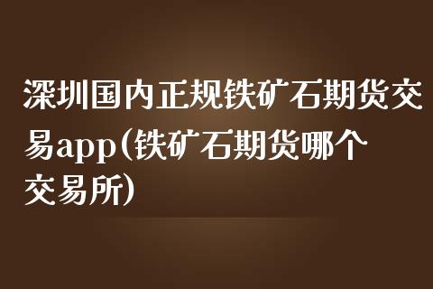 深圳国内正规铁矿石期货交易app(铁矿石期货哪个交易所)