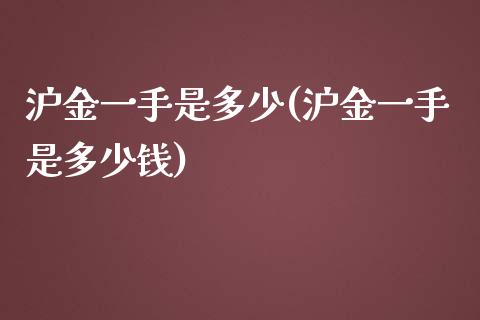 沪金一手是多少(沪金一手是多少钱)