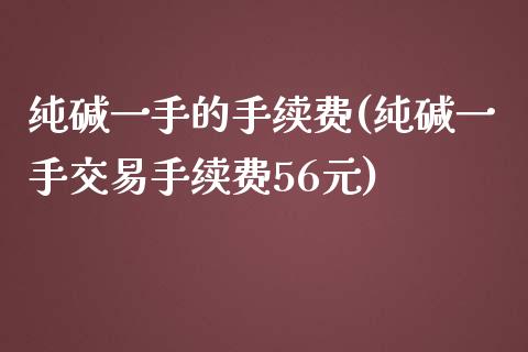 纯碱一手的手续费(纯碱一手交易手续费56元)