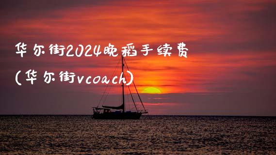 华尔街2024晚稻手续费(华尔街vcoach)