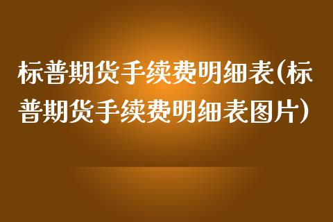 标普期货手续费明细表(标普期货手续费明细表图片)