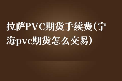 拉萨PVC期货手续费(宁海pvc期货怎么交易)