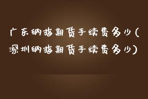 广东纳指期货手续费多少(深圳纳指期货手续费多少)