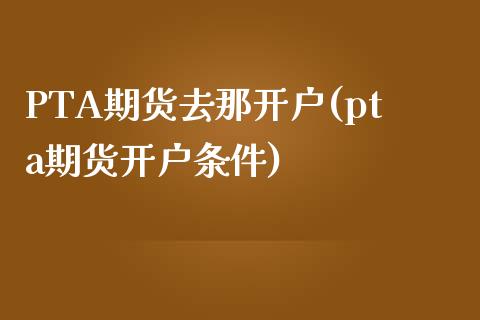 PTA期货去那开户(pta期货开户条件)