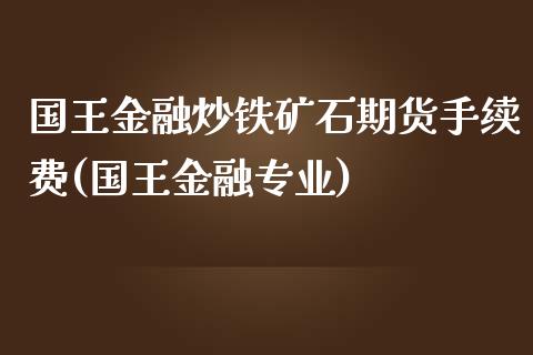 国王金融炒铁矿石期货手续费(国王金融专业)