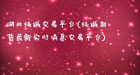 湖北纯碱交易平台(纯碱期货最新实时消息交易平台)