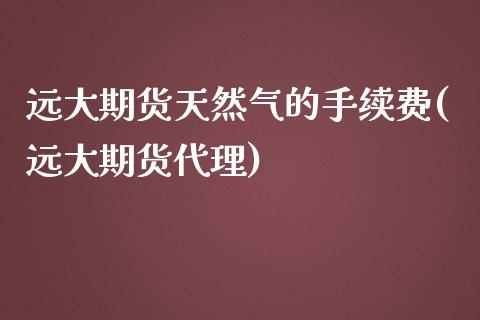 远大期货天然气的手续费(远大期货代理)