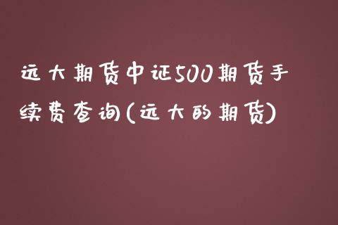 远大期货中证500期货手续费查询(远大的期货)