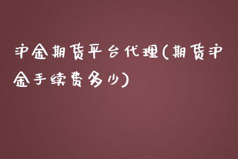 沪金期货平台代理(期货沪金手续费多少)