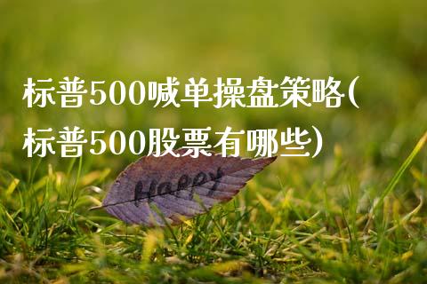 标普500喊单操盘策略(标普500股票有哪些)