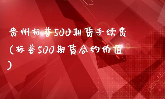 贵州标普500期货手续费(标普500期货合约价值)