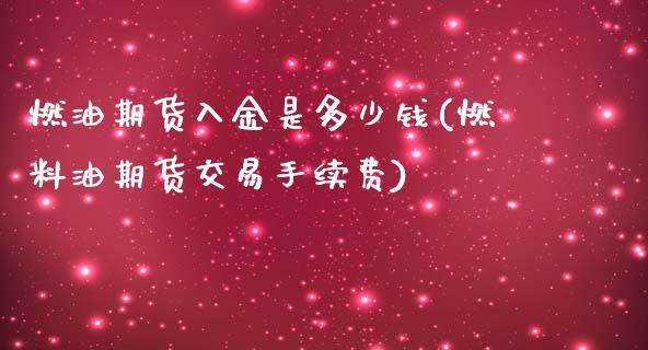 燃油期货入金是多少钱(燃料油期货交易手续费)