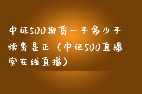 中证500期货一手多少手续费是正（中证500直播室在线直播）