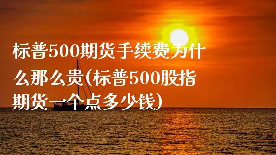 标普500期货手续费为什么那么贵(标普500股指期货一个点多少钱)