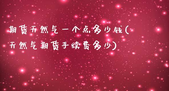 期货天然气一个点多少钱(天然气期货手续费多少)