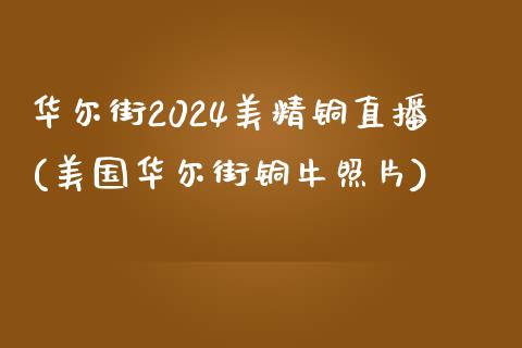 华尔街2024美精铜直播(美国华尔街铜牛照片)