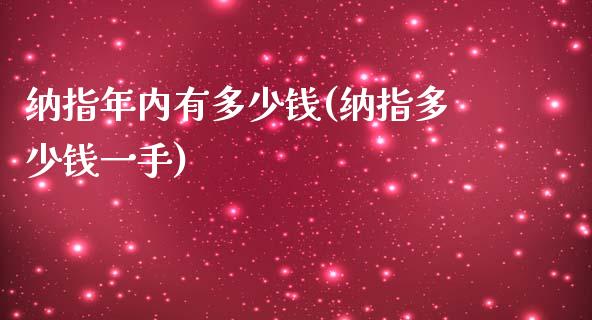 纳指年内有多少钱(纳指多少钱一手)