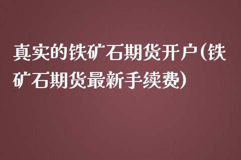 真实的铁矿石期货开户(铁矿石期货最新手续费)