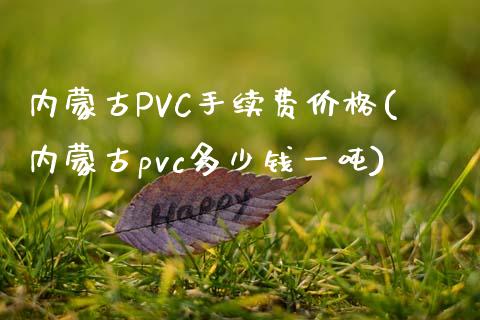 内蒙古PVC手续费价格(内蒙古pvc多少钱一吨)