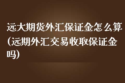 远大期货外汇保证金怎么算(远期外汇交易收取保证金吗)