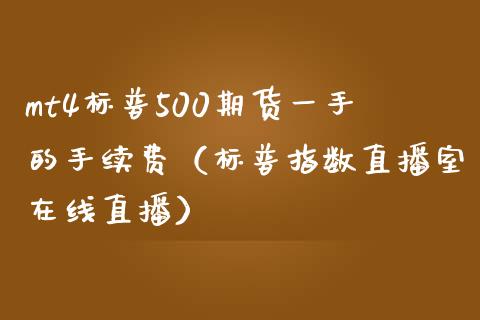 mt4标普500期货一手的手续费（标普指数直播室在线直播）