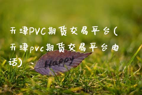 天津PVC期货交易平台(天津pvc期货交易平台电话)