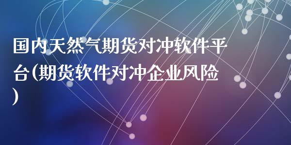 国内天然气期货对冲软件平台(期货软件对冲企业风险)