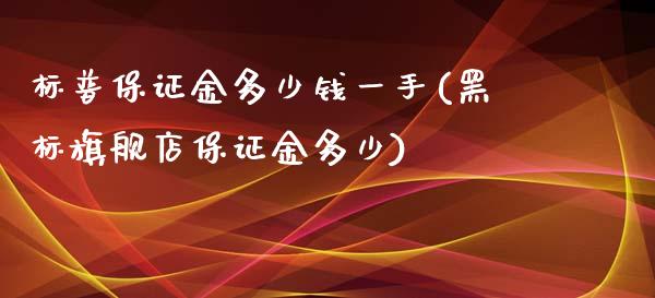 标普保证金多少钱一手(黑标旗舰店保证金多少)