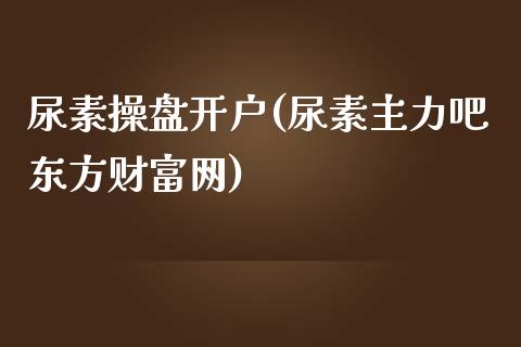 尿素操盘开户(尿素主力吧东方财富网)