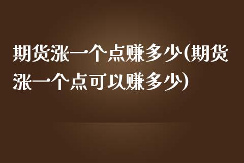 期货涨一个点赚多少(期货涨一个点可以赚多少)