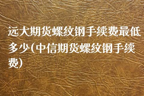 远大期货螺纹钢手续费最低多少(中信期货螺纹钢手续费)