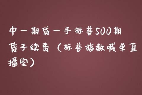 中一期贷一手标普500期货手续费（标普指数喊单直播室）