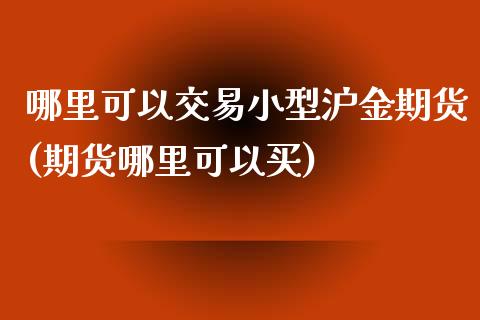 哪里可以交易小型沪金期货(期货哪里可以买)