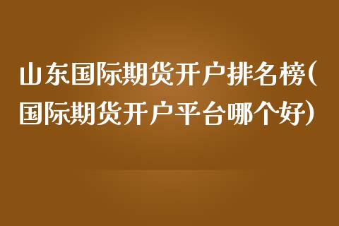 山东国际期货开户排名榜(国际期货开户平台哪个好)