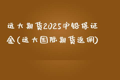 远大期货2025沪铅保证金(远大国际期货返佣)